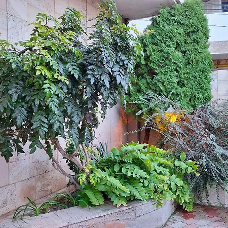 House On Yakornyy Lane בית נופש *